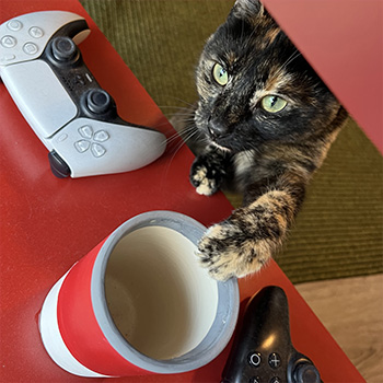 My cat interupting my photo taking.